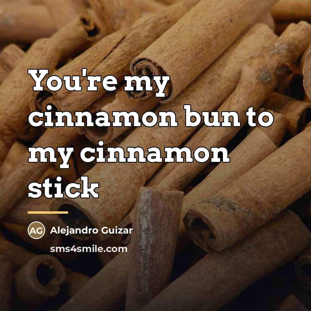 “You're my cinnamon bun to my cinnamon stick…” quote by Alejandro Guizar