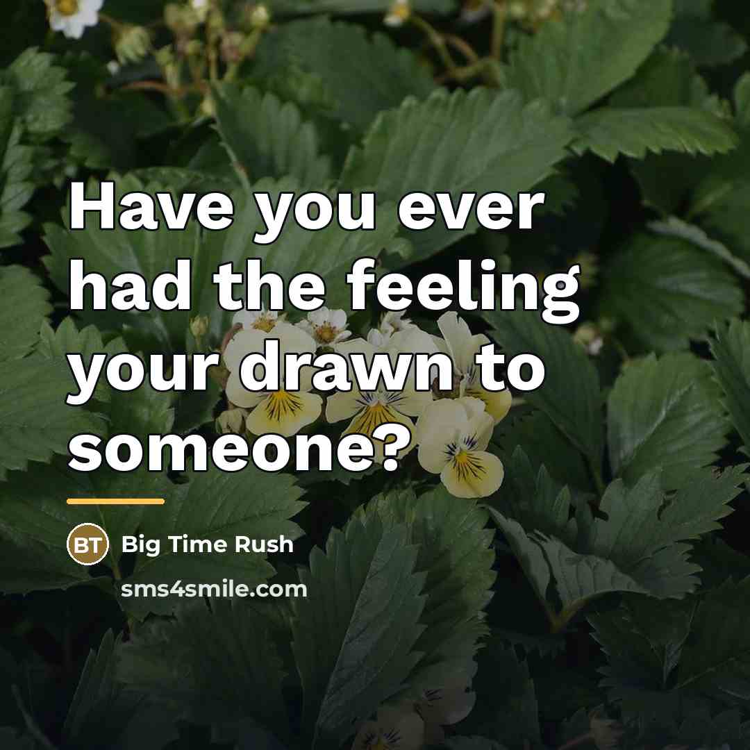 “Have you ever had the feeling your drawn to someone?…” quote by Big Time Rush