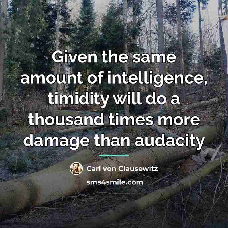 “Given the same amount of intelligence, timidity will do a…” quote by Carl von Clausewitz