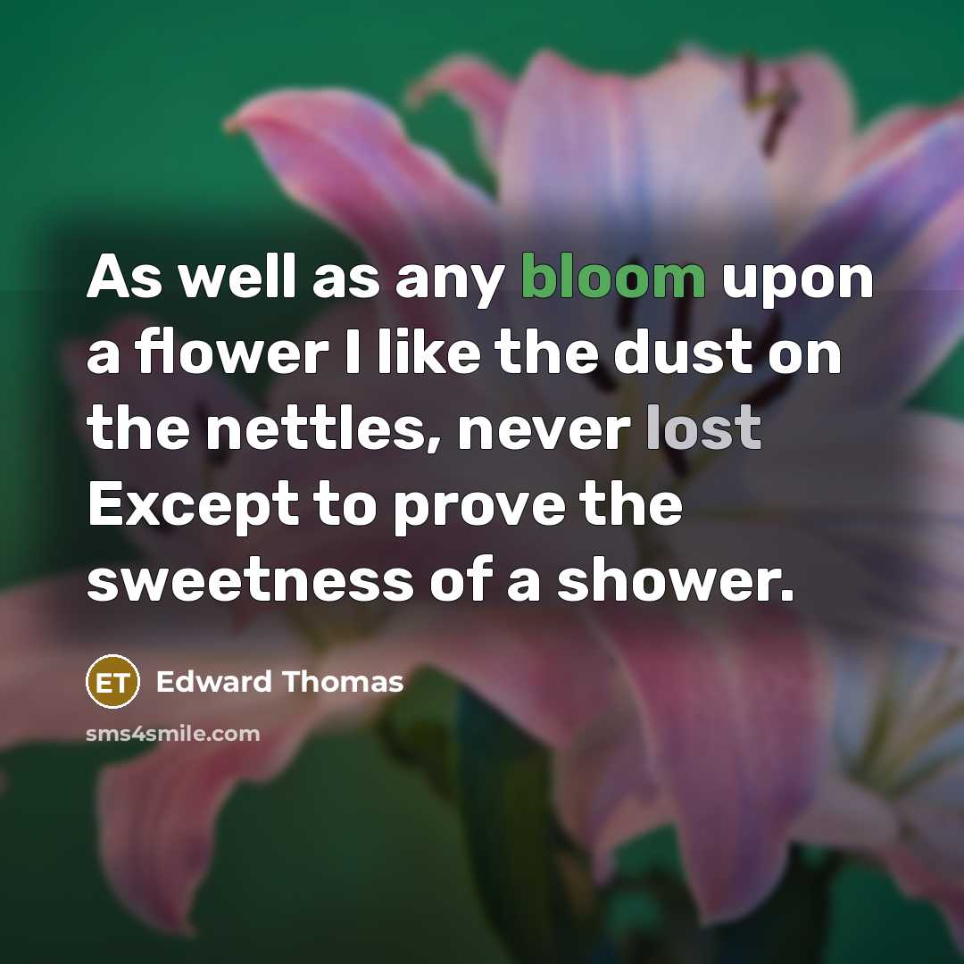 “As well as any bloom upon a flower I like…” quote by Edward Thomas