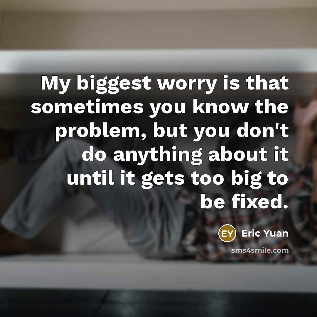 “My biggest worry is that sometimes you know the problem,…” quote by Eric Yuan