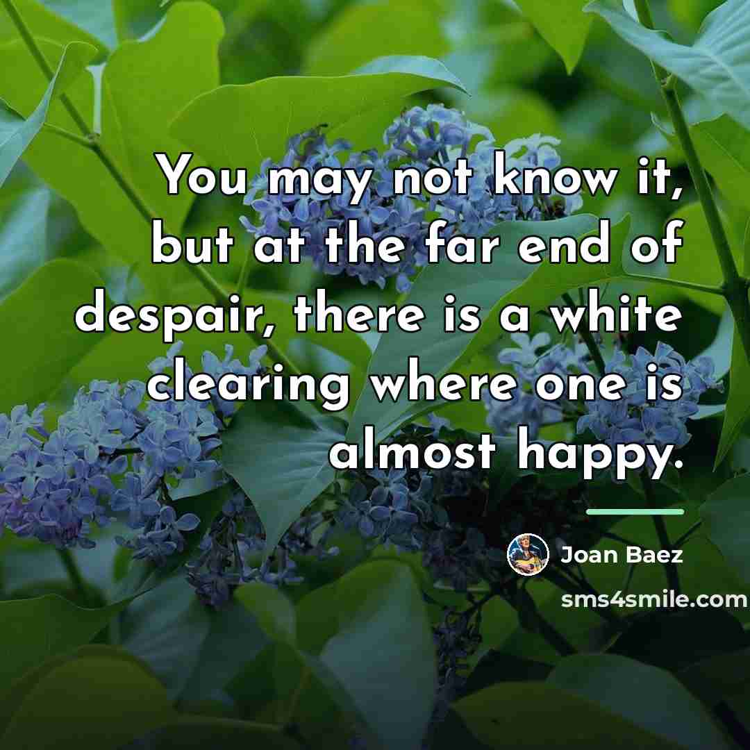 “You may not know it, but at the far end…” quote by Joan Baez