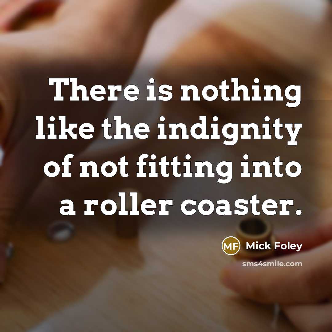 “There is nothing like the indignity of not fitting into…” quote by Mick Foley