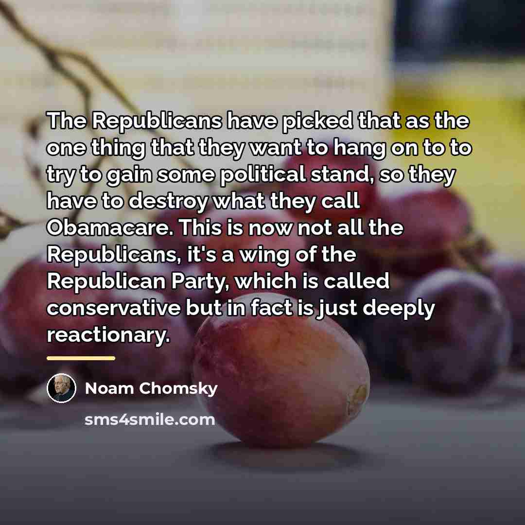“The Republicans have picked that as the one thing that…” quote by Noam Chomsky