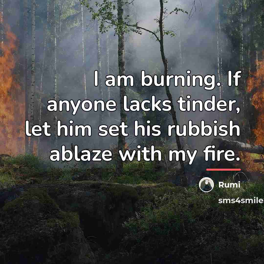 “I am burning. If anyone lacks tinder, let him set…” quote by Rumi