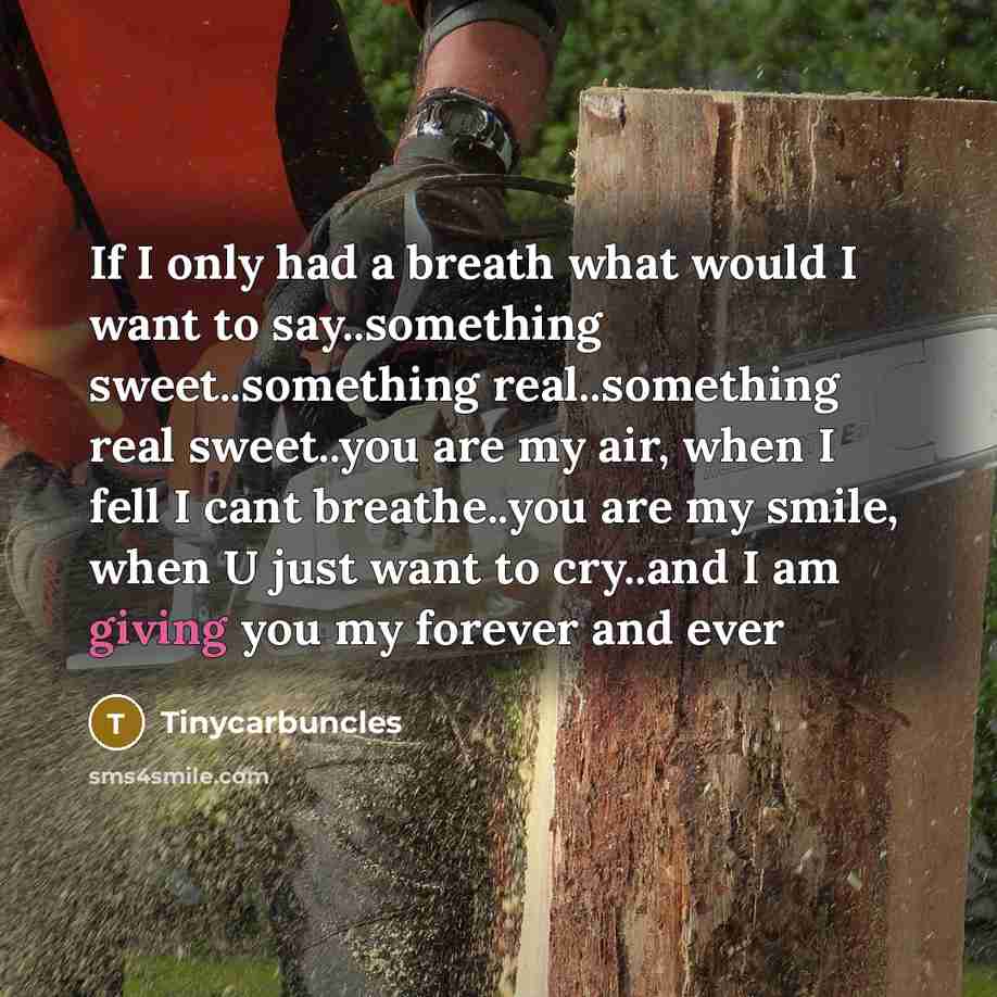 “If I only had a breath what would I want to say..something sweet..something real..something real sweet..you are my air, when I fell I cant breathe..you are my smile, when U just want to cry..and I am giving you my forever and ever” quote by Tinycarbuncles