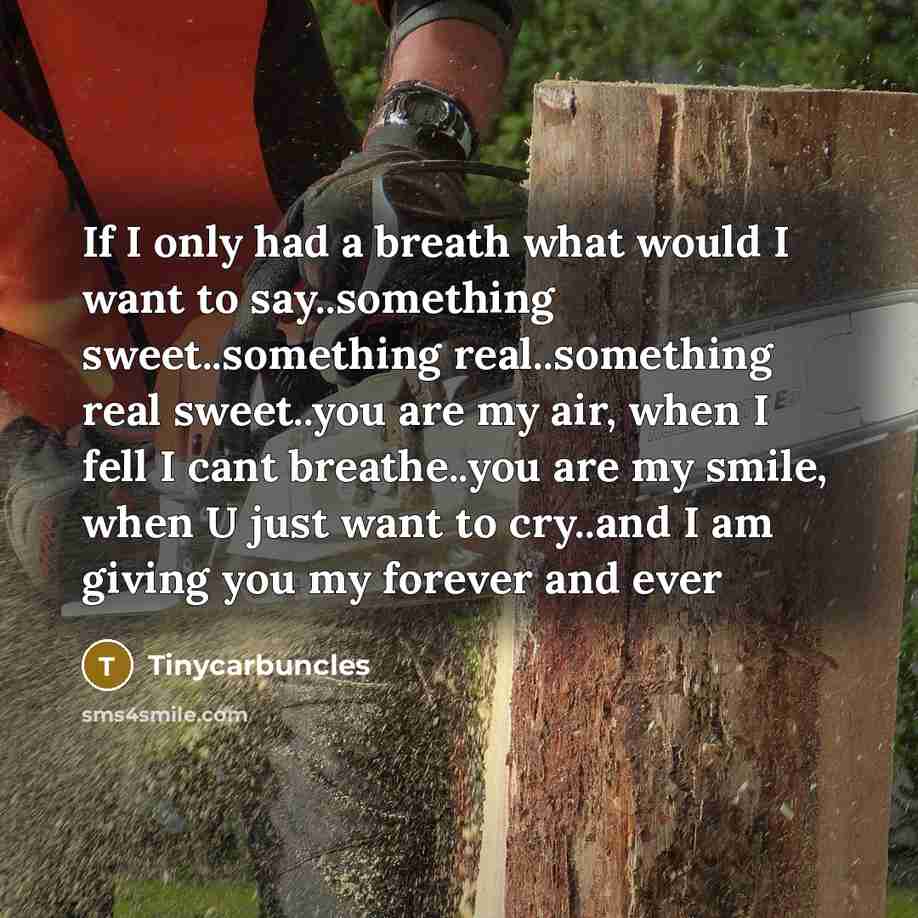 “If I only had a breath what would I want…” quote by Tinycarbuncles