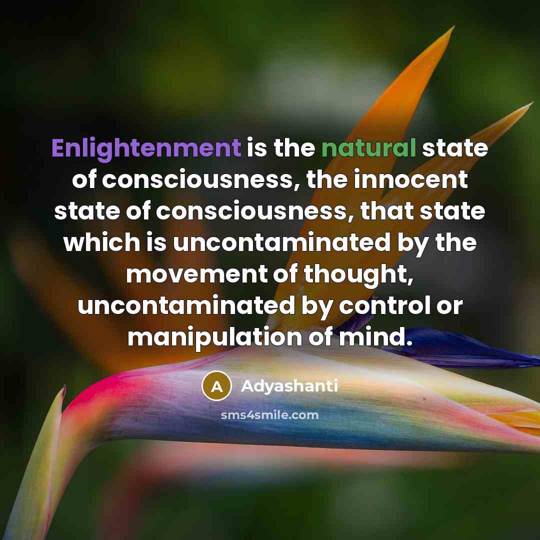 “Enlightenment is the natural state of consciousness, the innocent state…” quote by Adyashanti