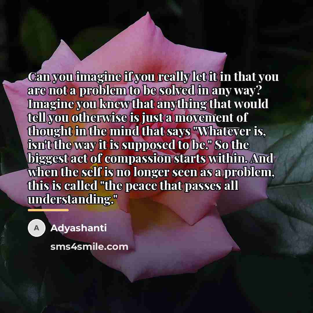 “Can you imagine if you really let it in that…” quote by Adyashanti
