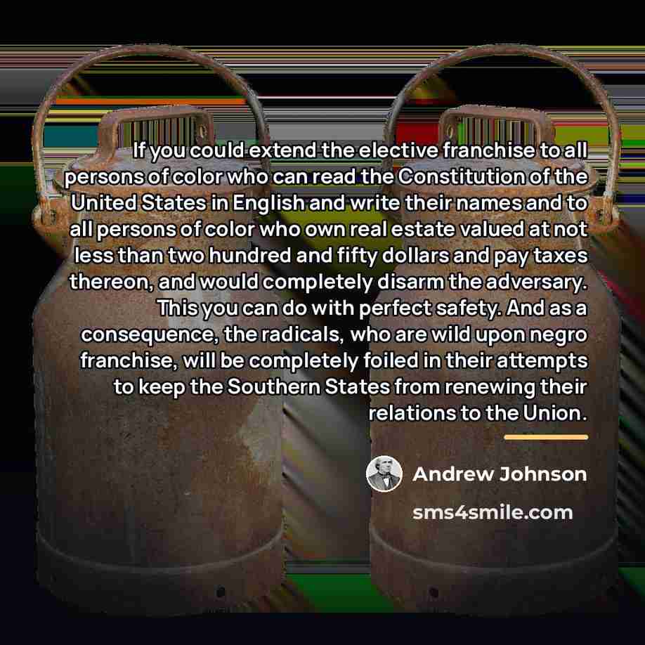 “If you could extend the elective franchise to all persons…” quote by Andrew Johnson