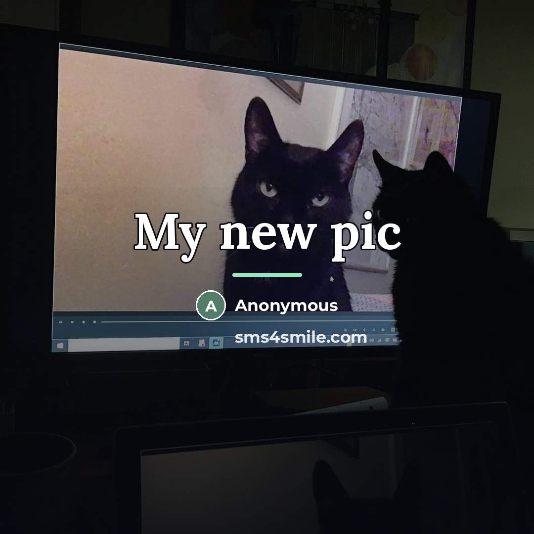 “My new pic…” quote by Anonymous