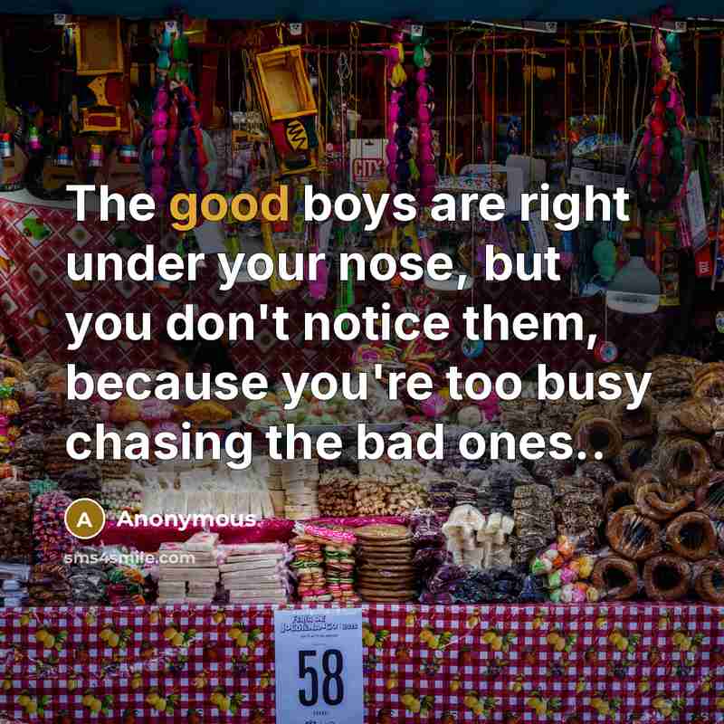 “The good boys are right under your nose, but you don't notice them, because you're too busy chasing the bad ones..” quote by Anonymous