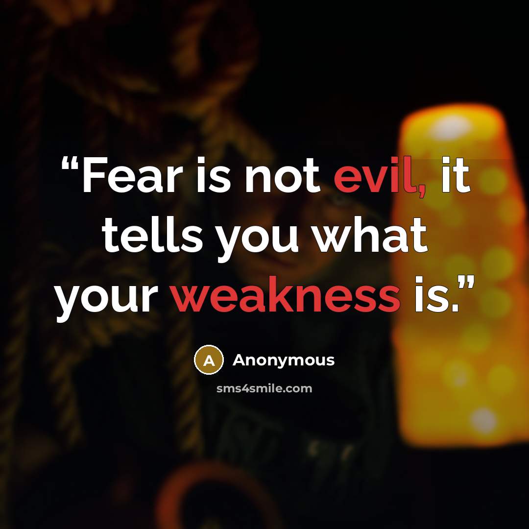 “Fear is not evil, it tells you what your weakness is.” quote by Anonymous