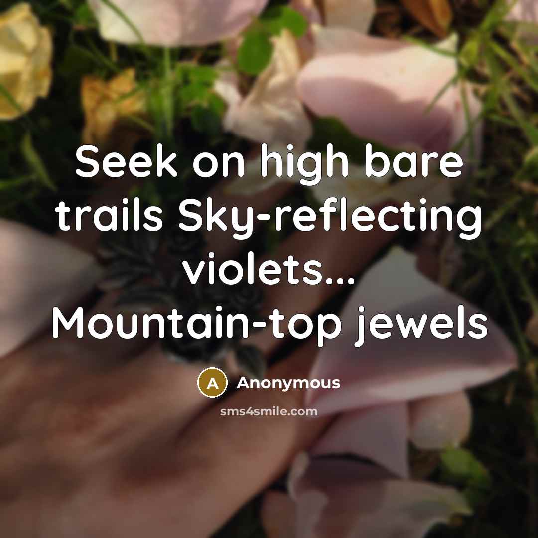 “Seek on high bare trails Sky-reflecting violets... Mountain-top jewels…” quote by Anonymous