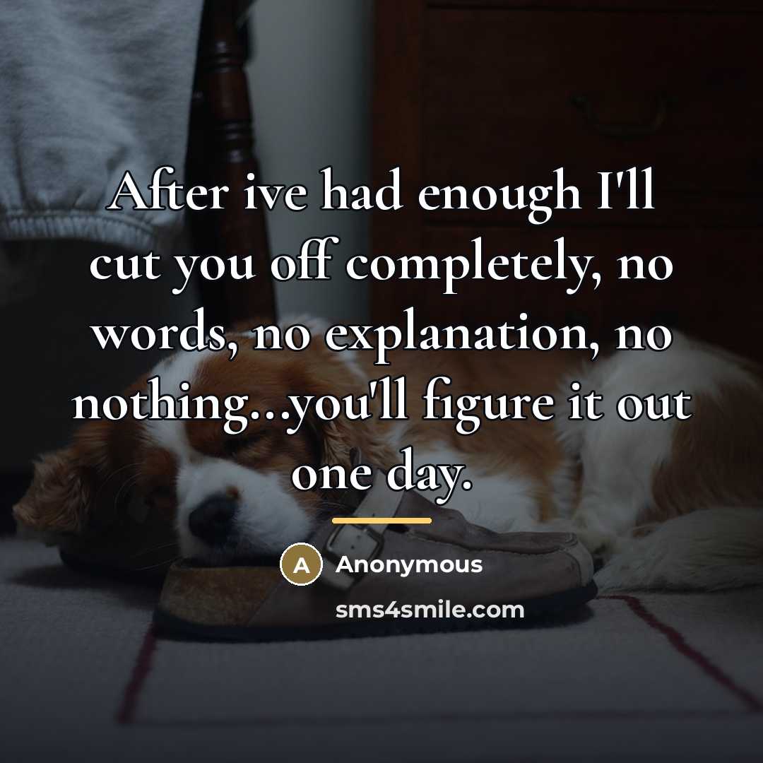 “After ive had enough I'll cut you off completely, no…” quote by Anonymous