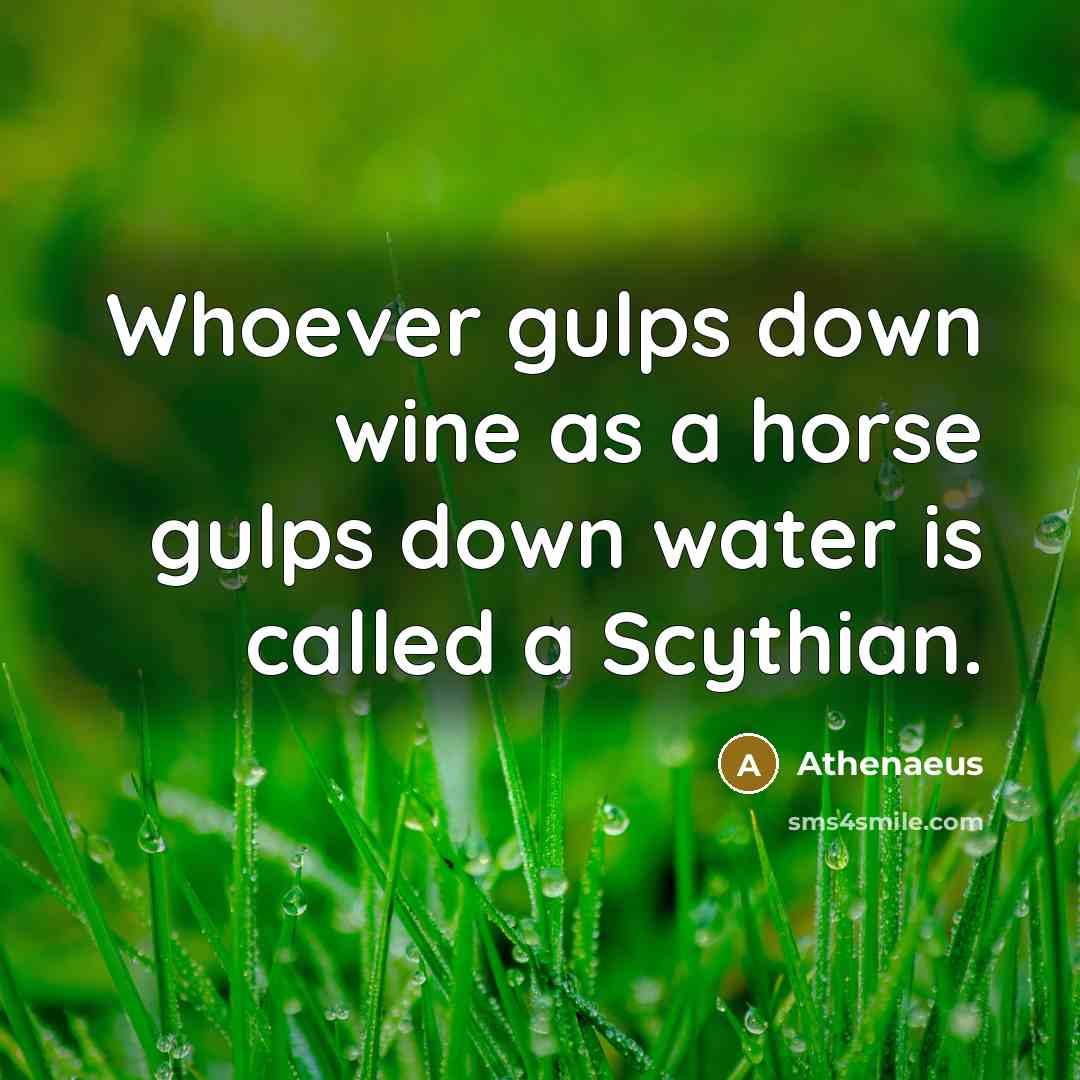 “Whoever gulps down wine as a horse gulps down water…” quote by Athenaeus