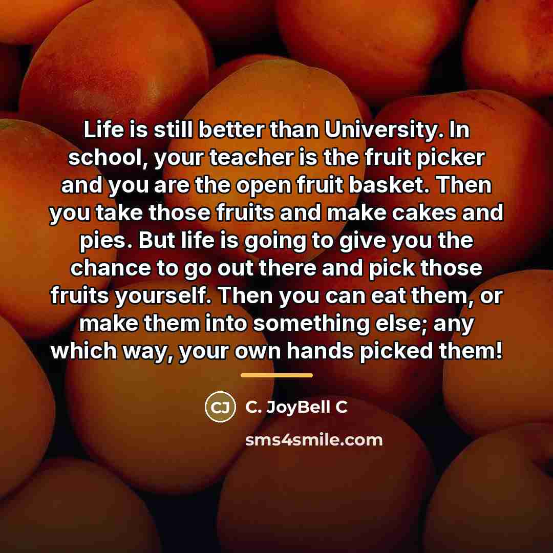 “Life is still better than University. In school, your teacher…” quote by C. JoyBell C