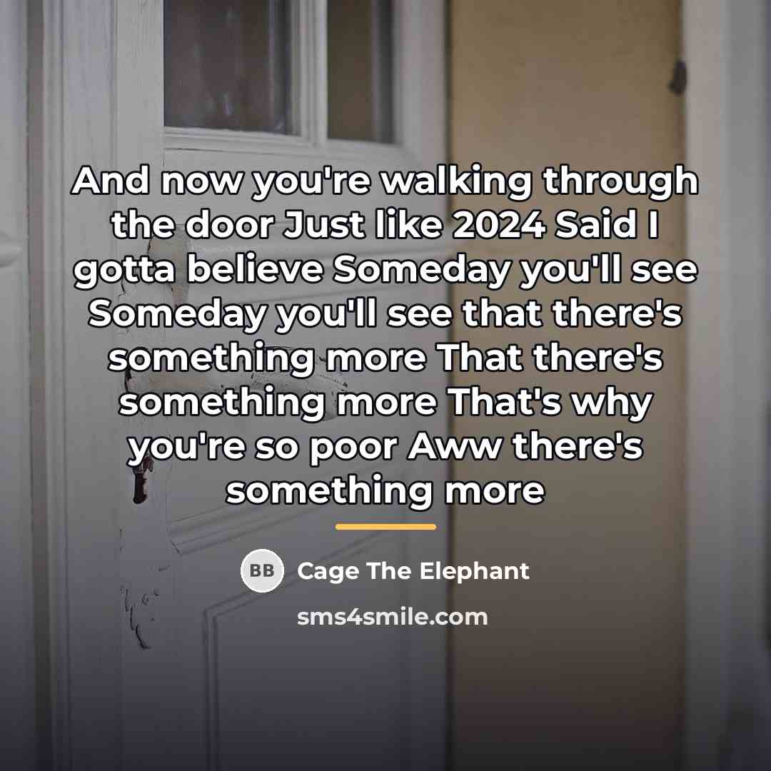 “And now you're walking through the door Just like 2024…” quote by Cage The Elephant