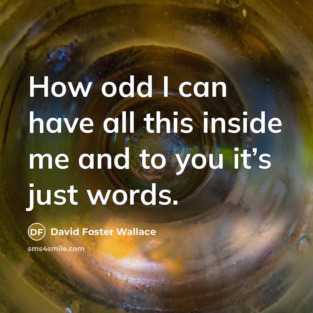 “How odd I can have all this inside me and…” quote by David Foster Wallace