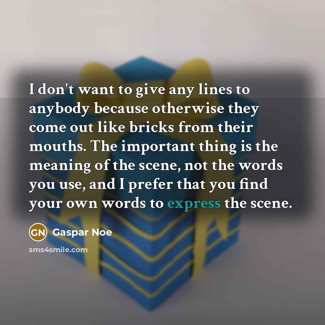 “I don't want to give any lines to anybody because…” quote by Gaspar Noe