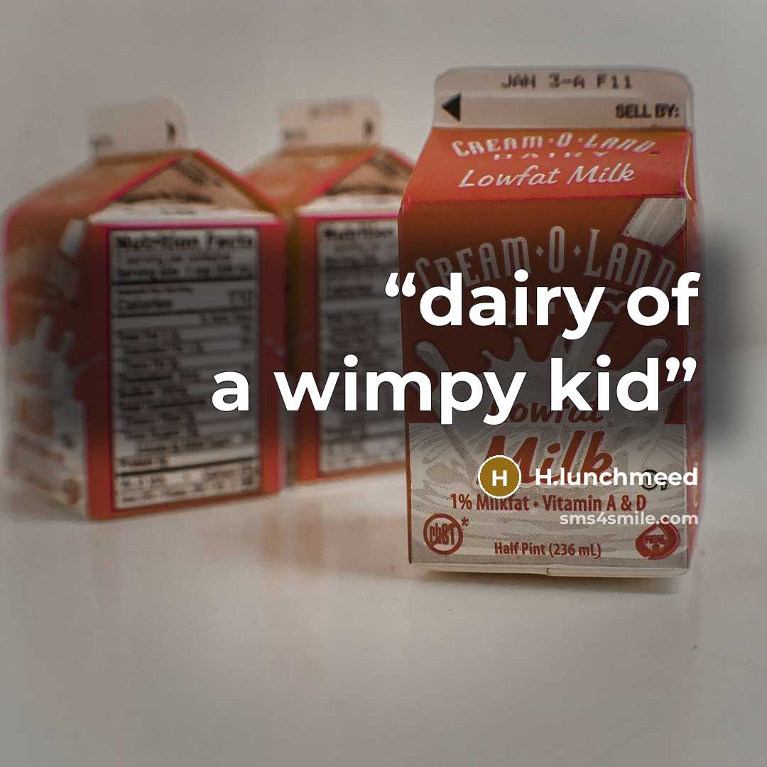 “dairy of a wimpy kid” quote by H.lunchmeed