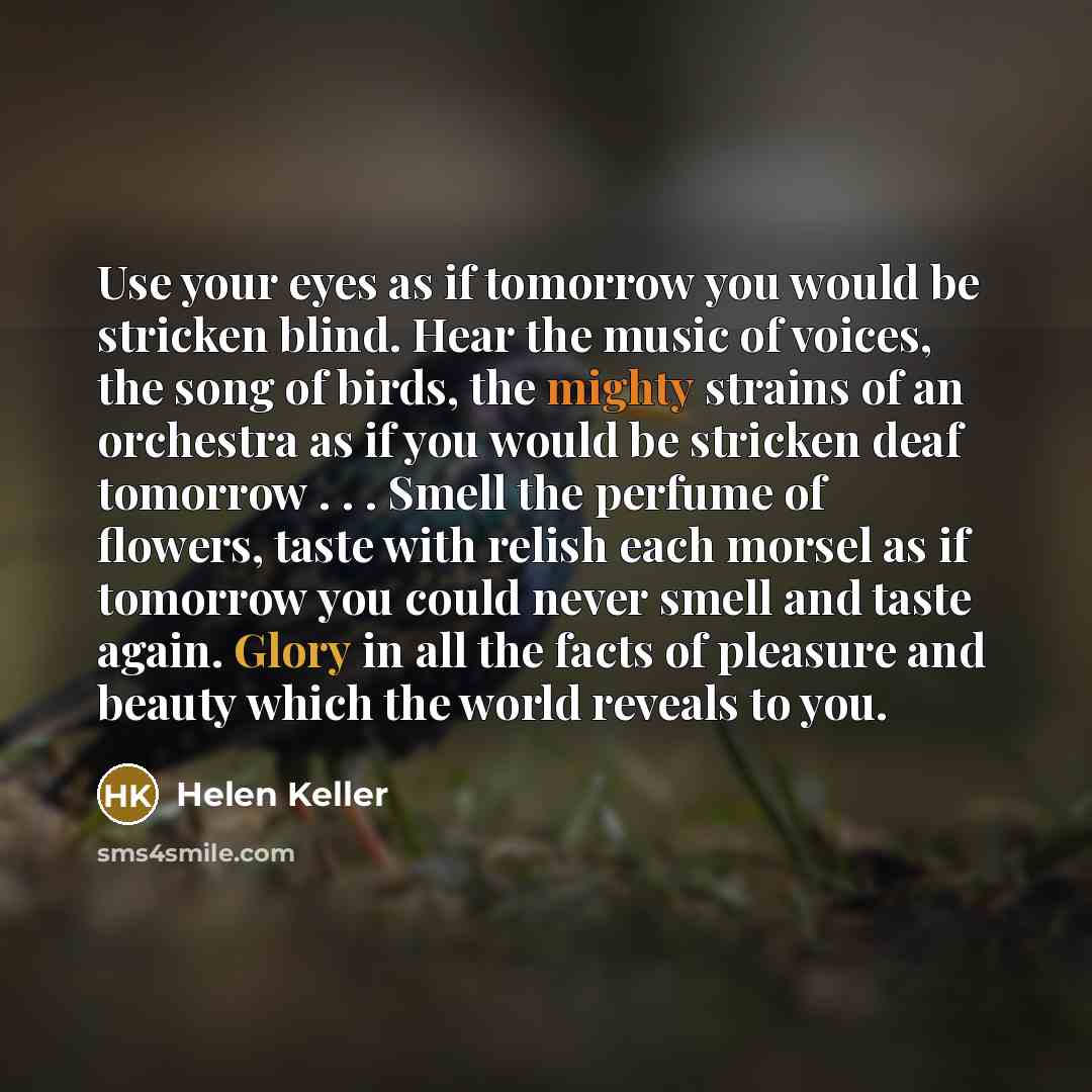 “Use your eyes as if tomorrow you would be stricken…” quote by Helen Keller