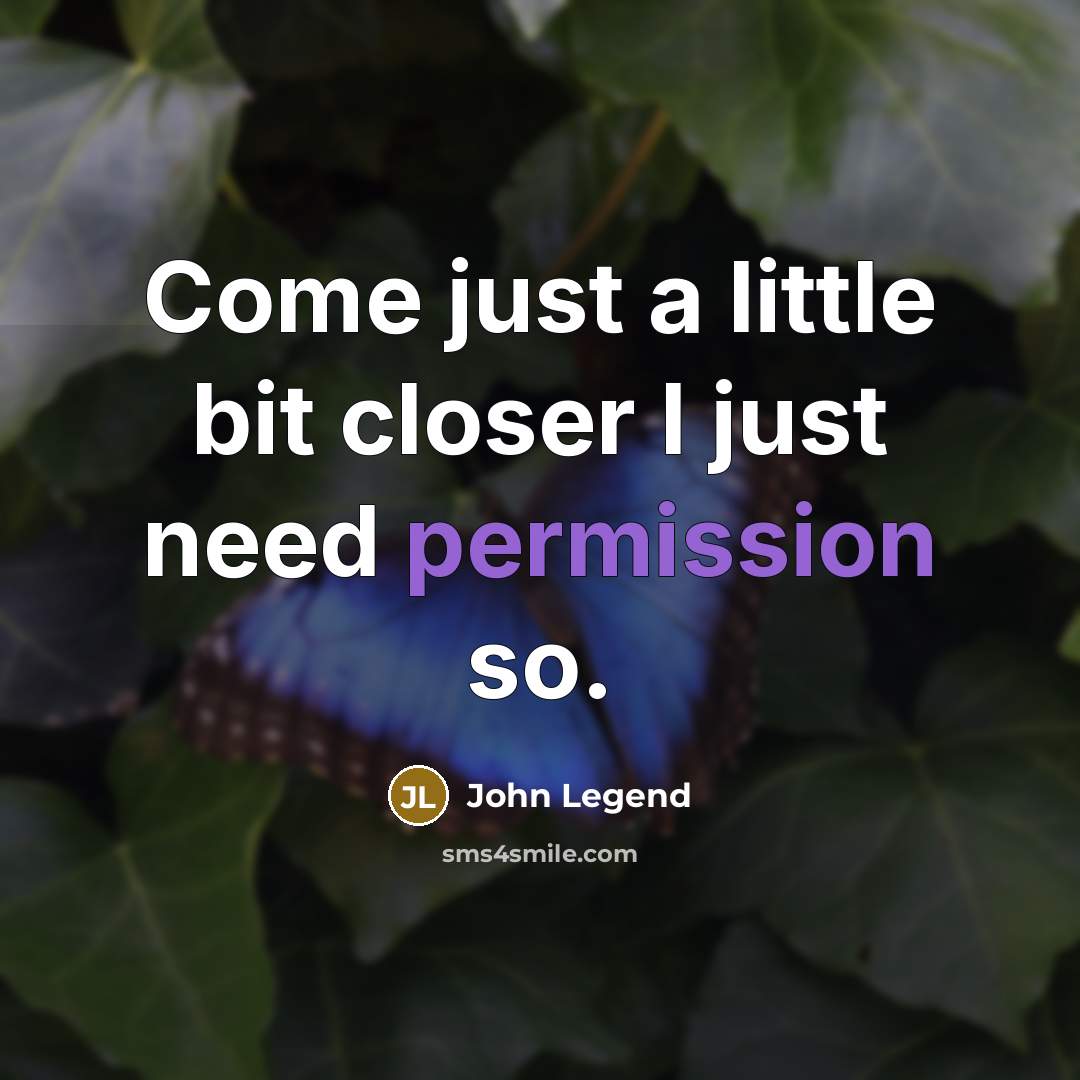 “Come just a little bit closer I just need permission so.” quote by John Legend