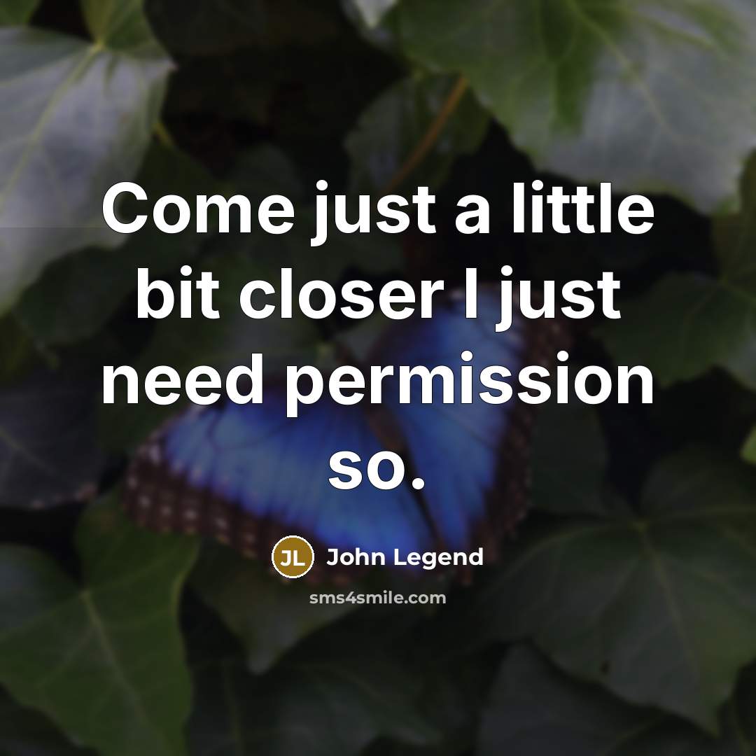 “Come just a little bit closer I just need permission…” quote by John Legend