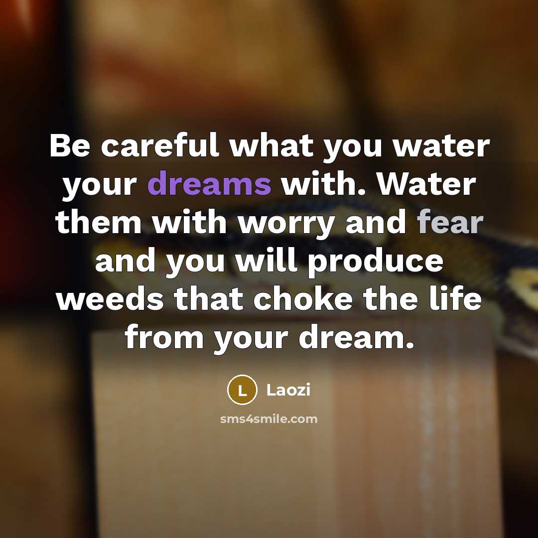 “Be careful what you water your dreams with. Water them…” quote by Laozi