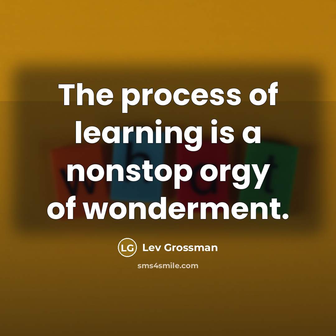 “The process of learning is a nonstop orgy of wonderment.…” quote by Lev Grossman