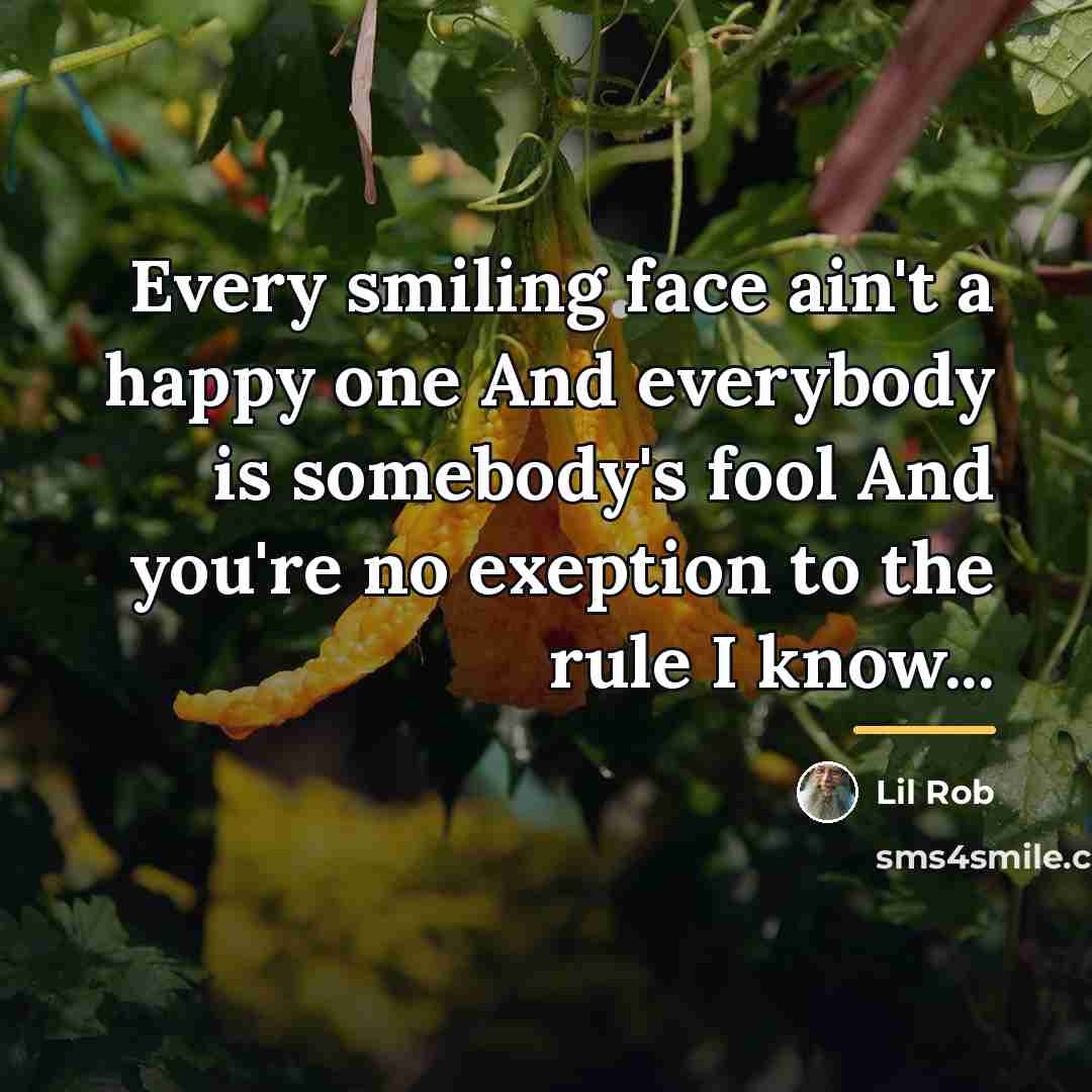 “Every smiling face ain't a happy one And everybody is…” quote by Lil Rob