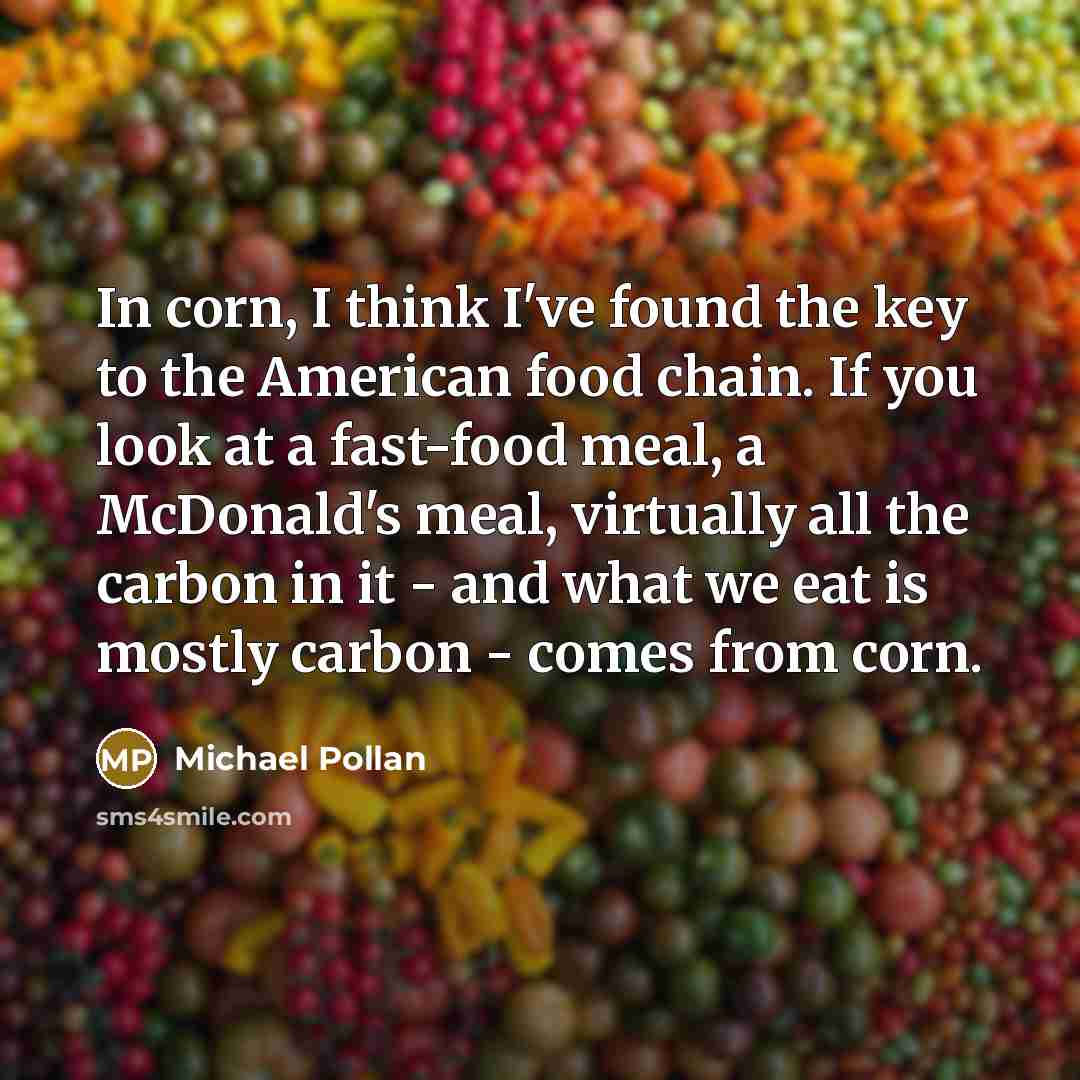 “In corn, I think I've found the key to the…” quote by Michael Pollan