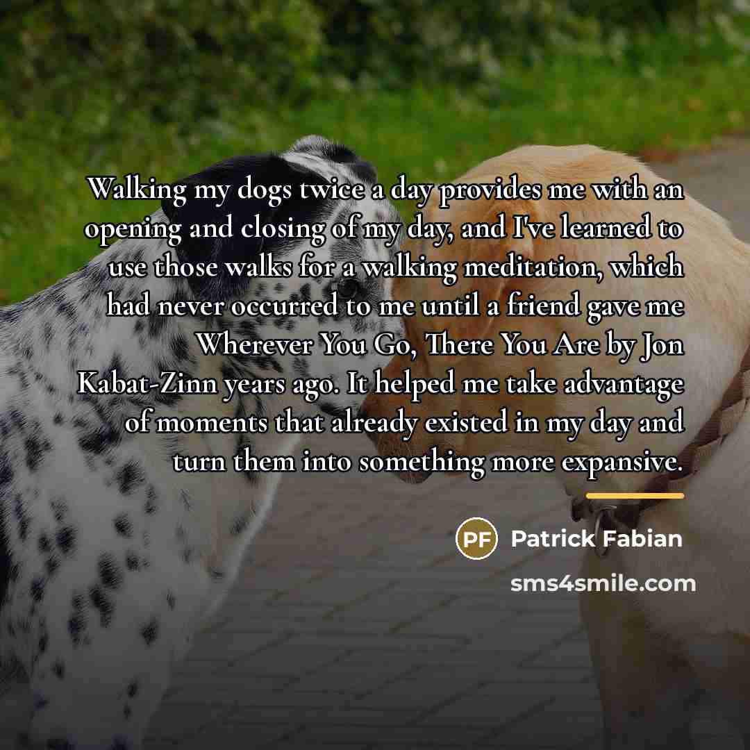 “Walking my dogs twice a day provides me with an…” quote by Patrick Fabian