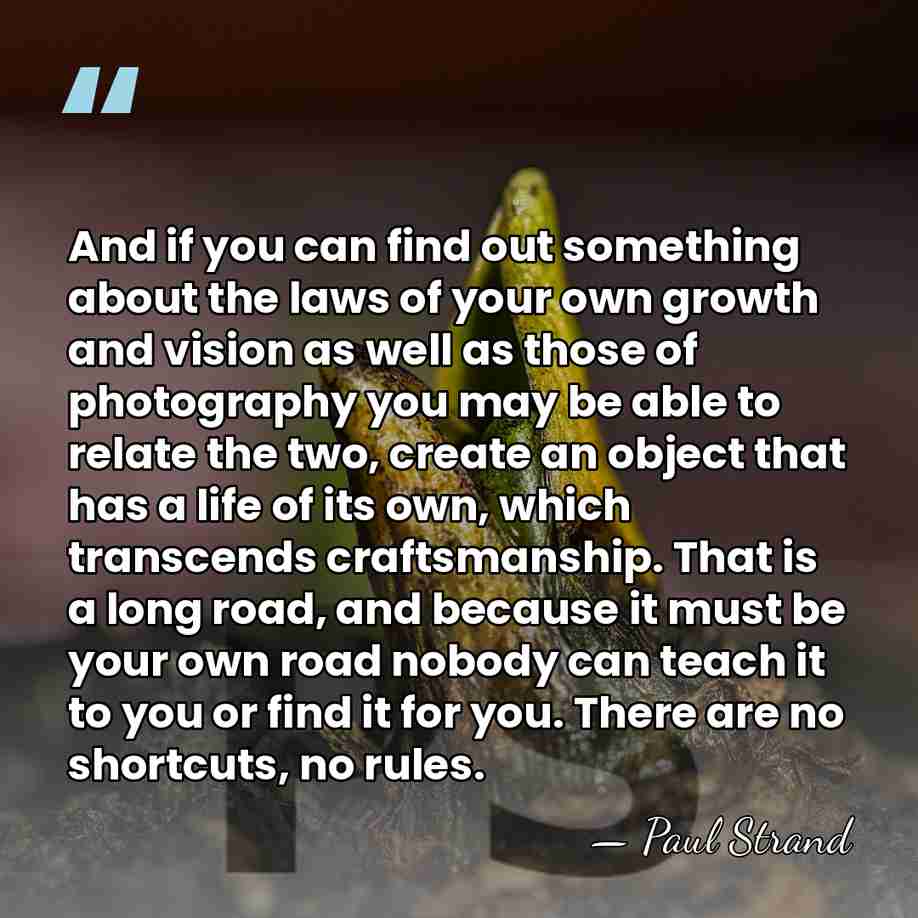 And if you can find out something about the laws of your&hellip; - Paul Strand