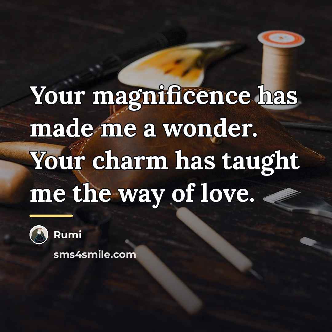 “Your magnificence has made me a wonder. Your charm has…” quote by Rumi