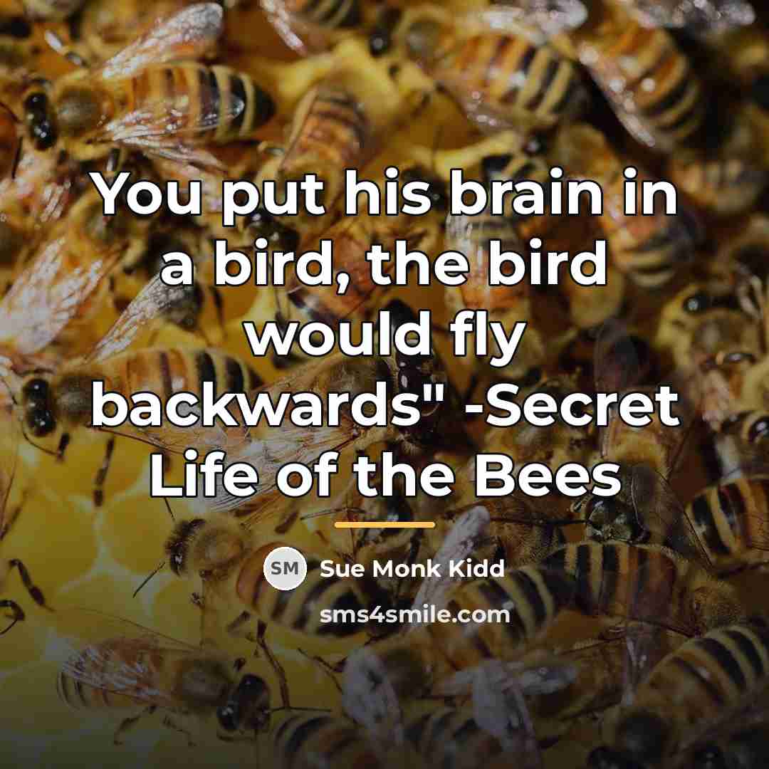 “You put his brain in a bird, the bird would…” quote by Sue Monk Kidd