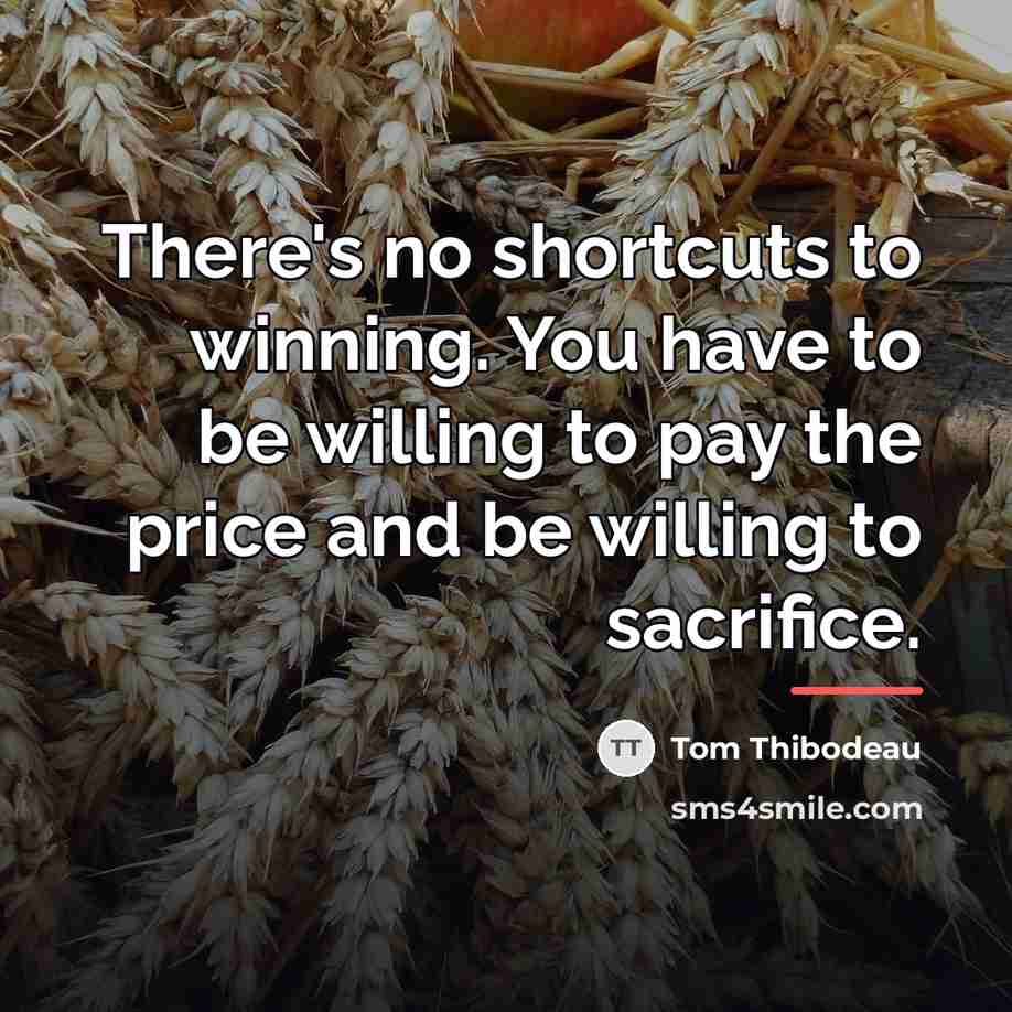 “There's no shortcuts to winning. You have to be willing…” quote by Tom Thibodeau