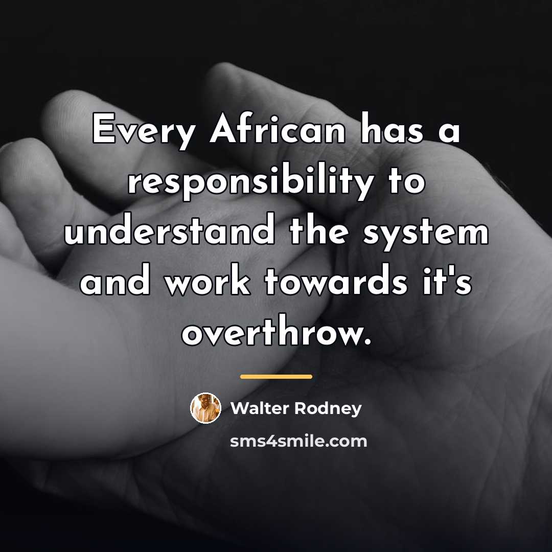“Every African has a responsibility to understand the system and…” quote by Walter Rodney