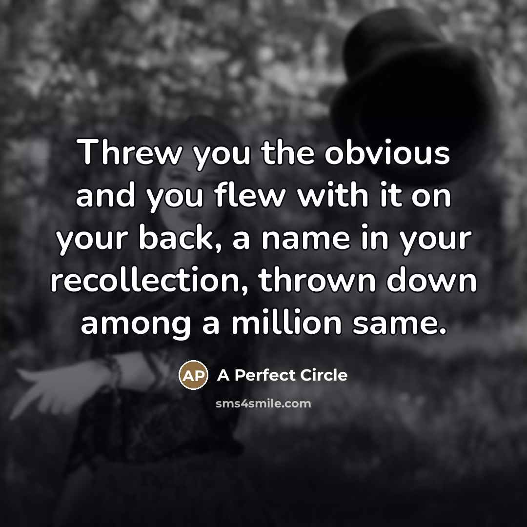 “Threw you the obvious and you flew with it on…” quote by A Perfect Circle