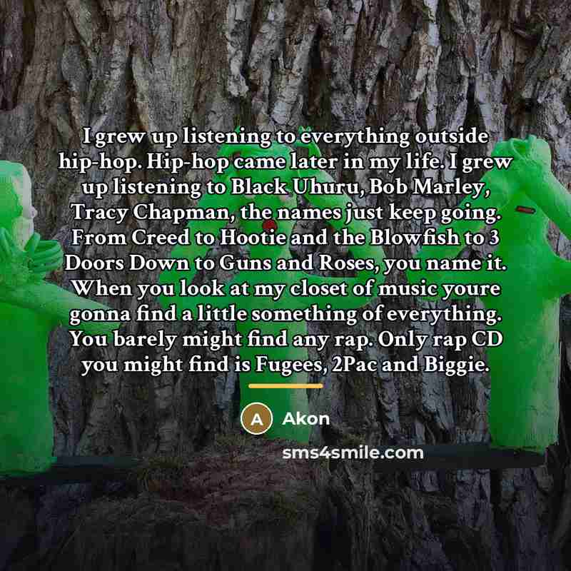 “I grew up listening to everything outside hip-hop. Hip-hop came…” quote by Akon