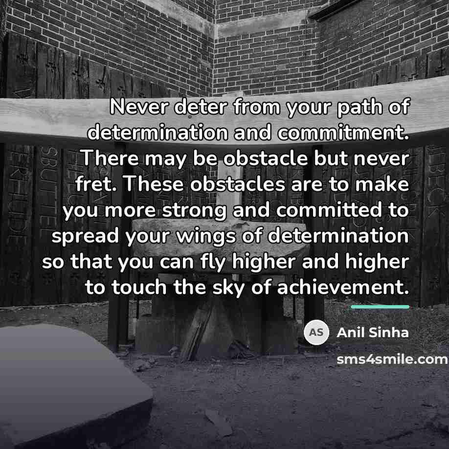 “Never deter from your path of determination and commitment. There…” quote by Anil Sinha