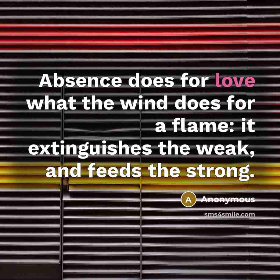 “Absence does for love what the wind does for a…” quote by Anonymous