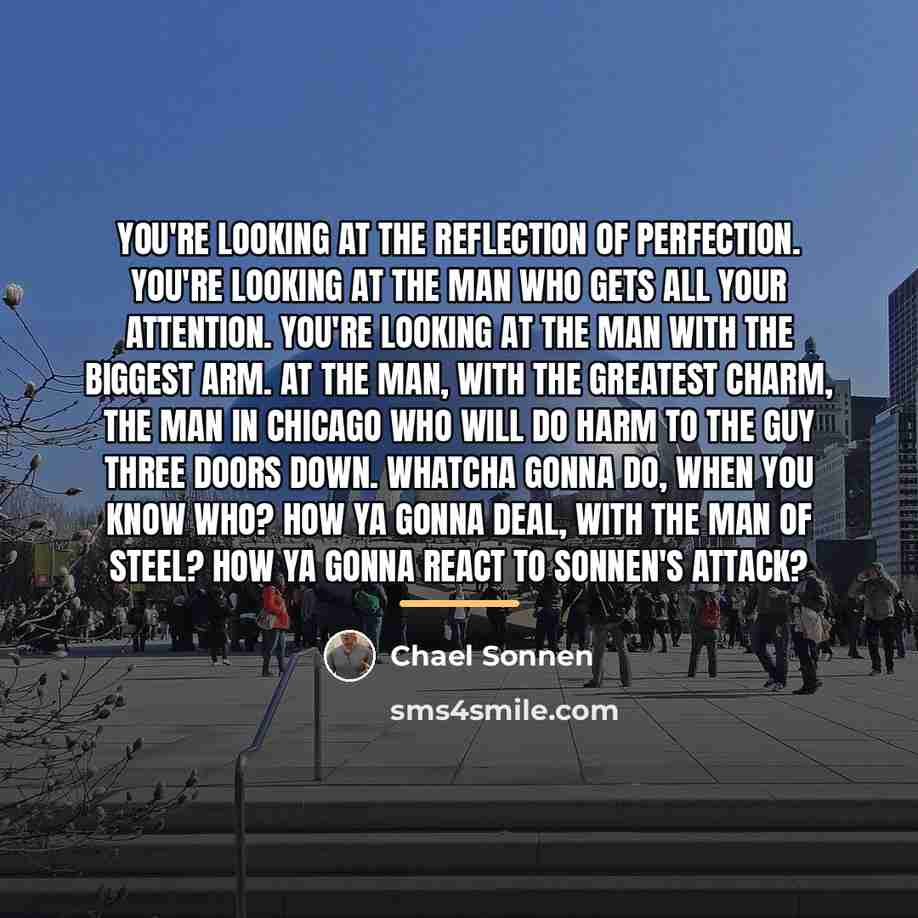 “You're looking at the reflection of perfection. You're looking at…” quote by Chael Sonnen