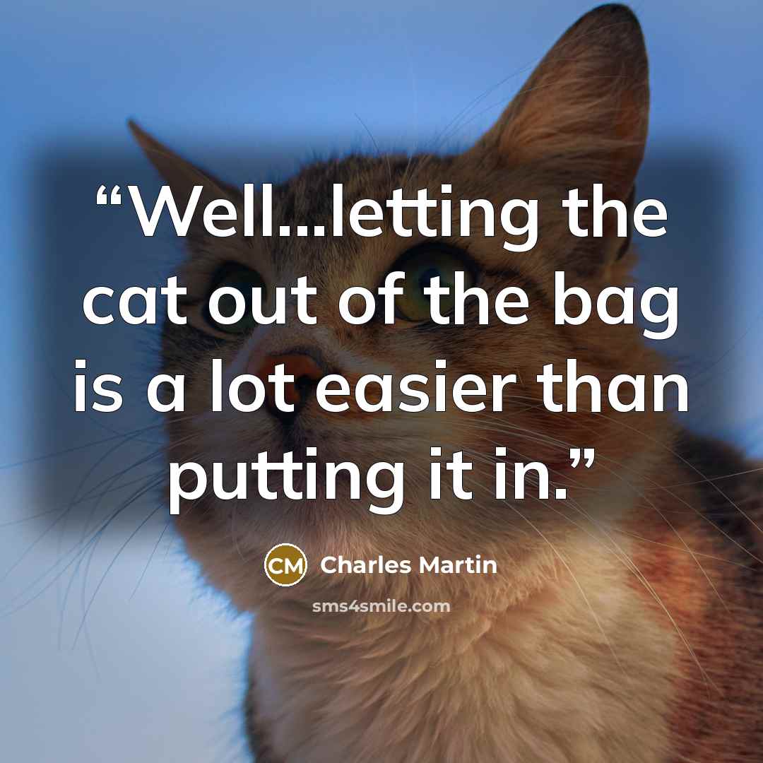 “Well...letting the cat out of the bag is a lot easier than putting it in.” quote by Charles Martin