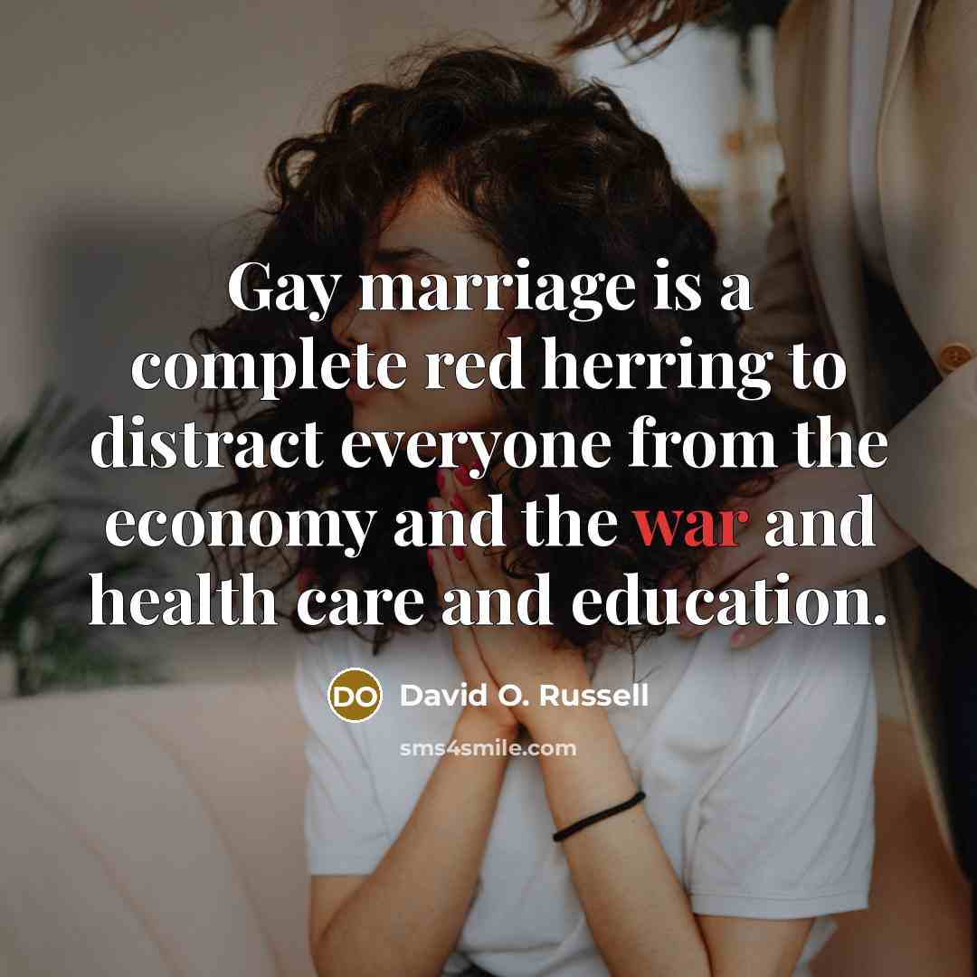 “Gay marriage is a complete red herring to distract everyone…” quote by David O. Russell