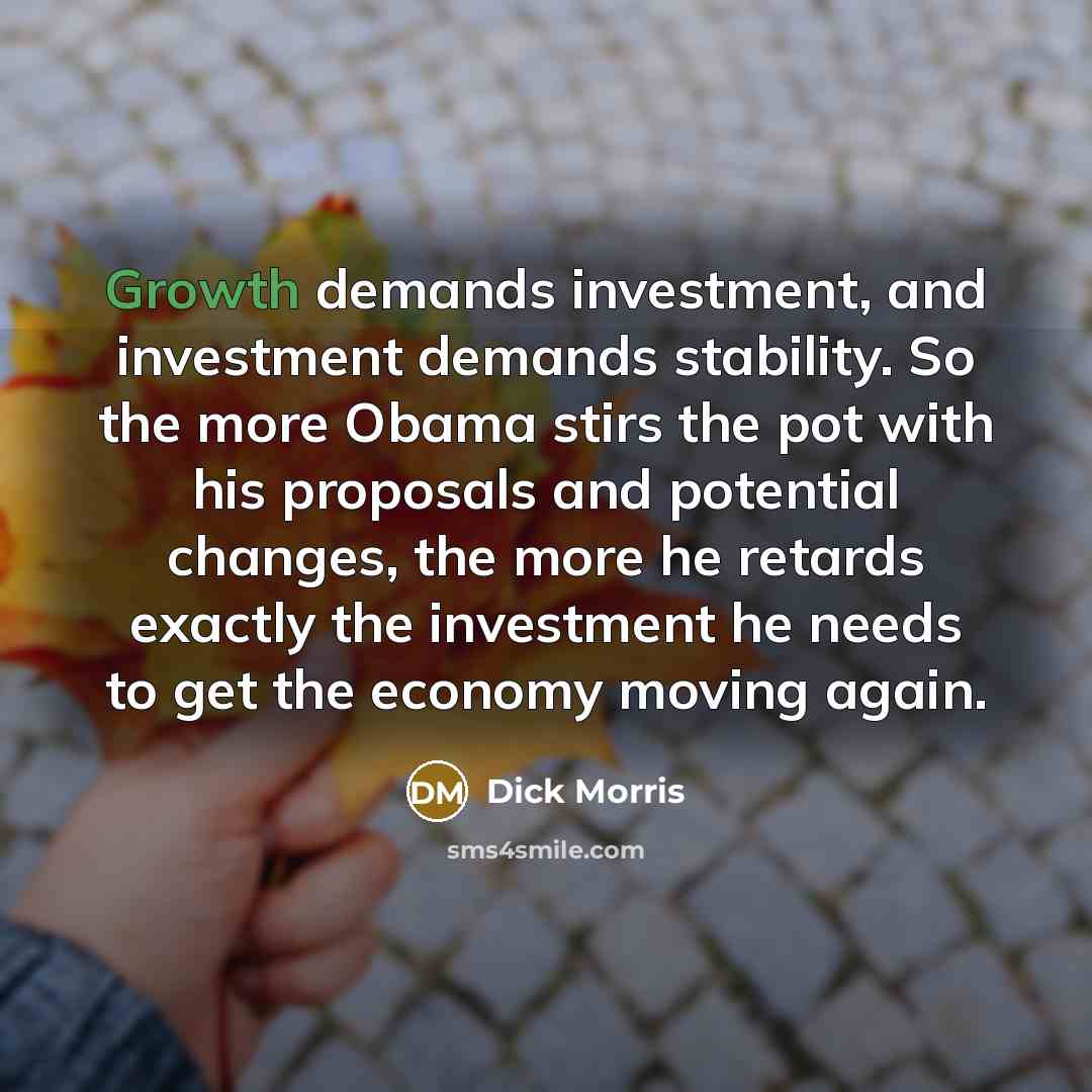 “Growth demands investment, and investment demands stability. So the more…” quote by Dick Morris