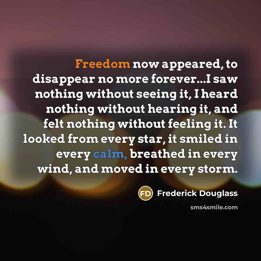 “Freedom now appeared, to disappear no more forever...I saw nothing…” quote by Frederick Douglass