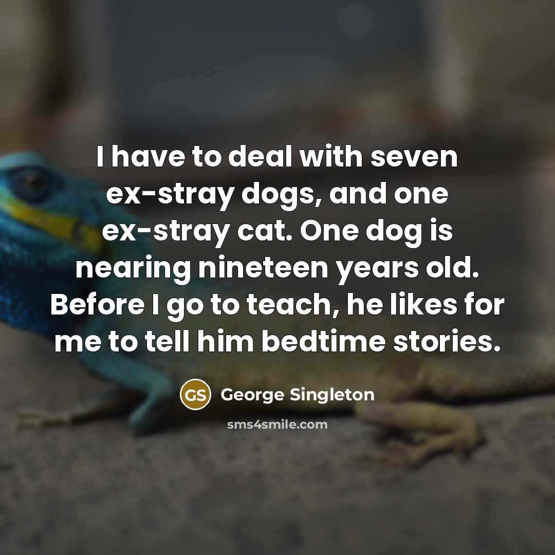 “I have to deal with seven ex-stray dogs, and one ex-stray cat. One dog is nearing nineteen years old. Before I go to teach, he likes for me to tell him bedtime stories.” quote by George Singleton