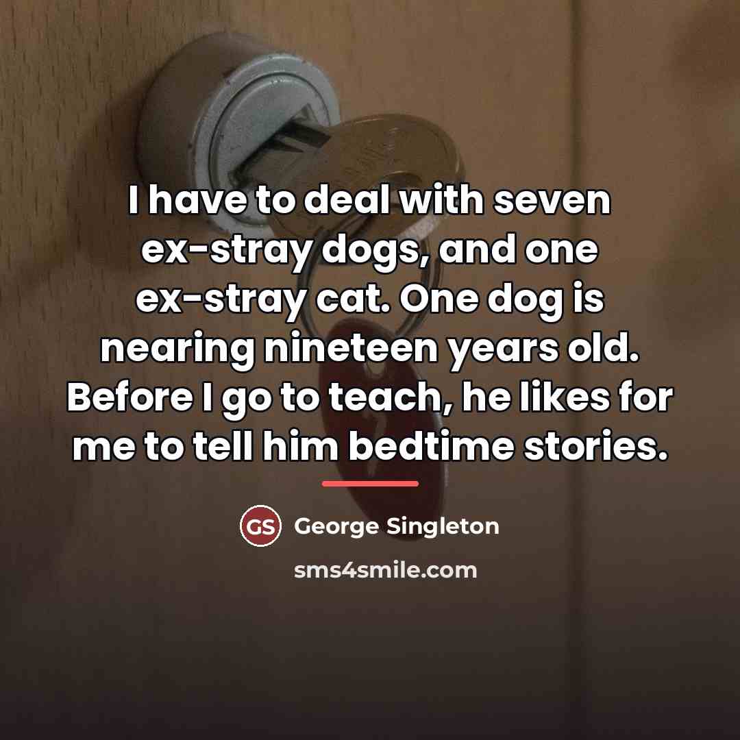 “I have to deal with seven ex-stray dogs, and one…” quote by George Singleton