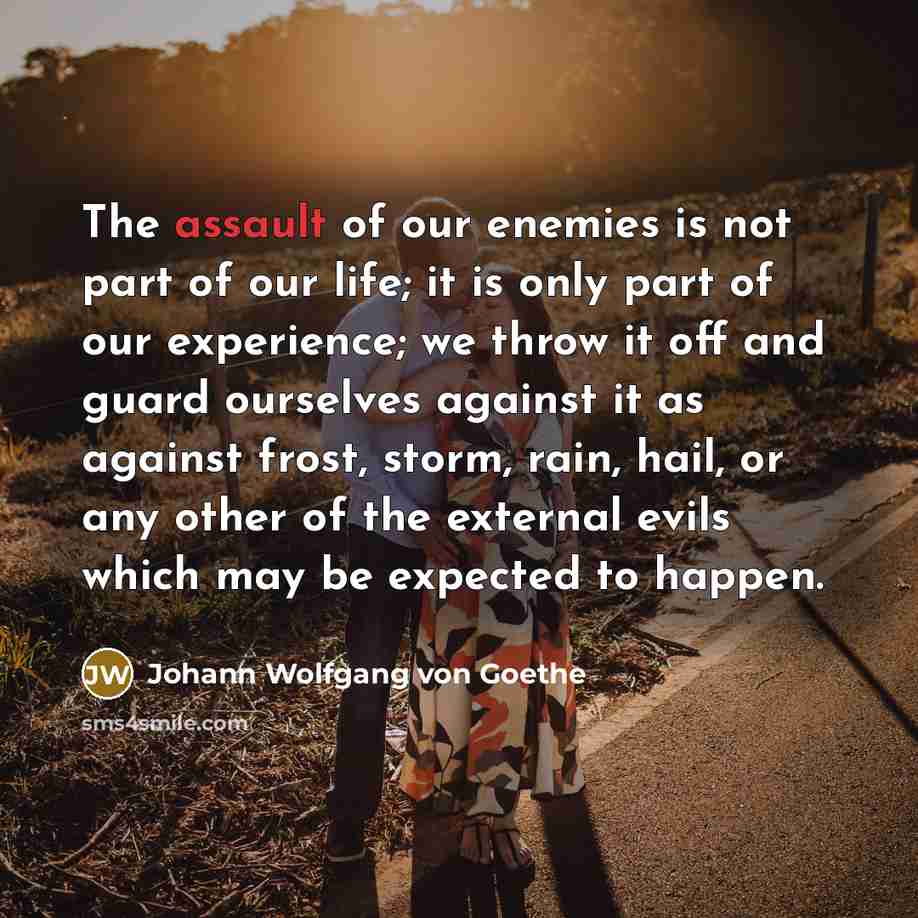 “The assault of our enemies is not part of our…” quote by Johann Wolfgang von Goethe